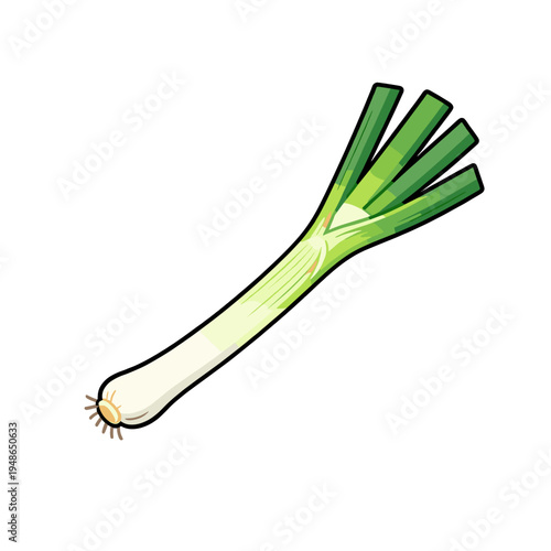 [Vector EPS]Fresh green onion with white and green parts for cooking ingredient