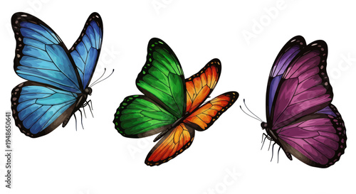 Three colorful butterflies with blue, green, orange, and purple wings on white background