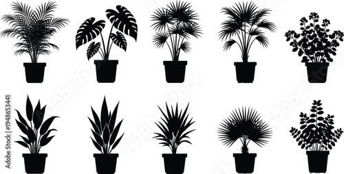 Potted houseplant silhouettes collection tropical indoor plants in flower pots decorative foliage plants isolated illustration set for home decor and botanical design