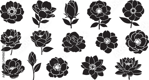 Black and white floral illustrations of various flower types