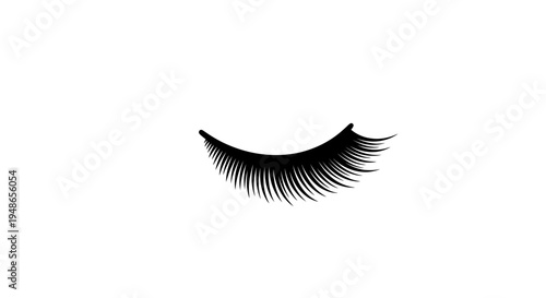 Black Eyelash on White Background - Beauty and Makeup Concept