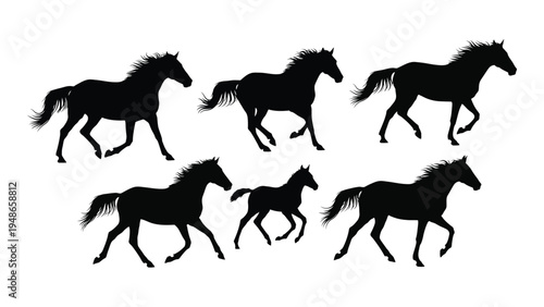 A silhouette image of six horses in various running positions, showcasing their dynamic movement and fluidity, with a focus on their physical strength and agility.