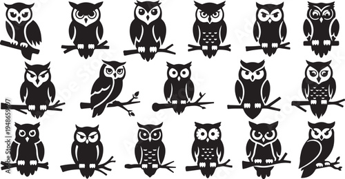 Collection of black and white owl silhouettes on branches