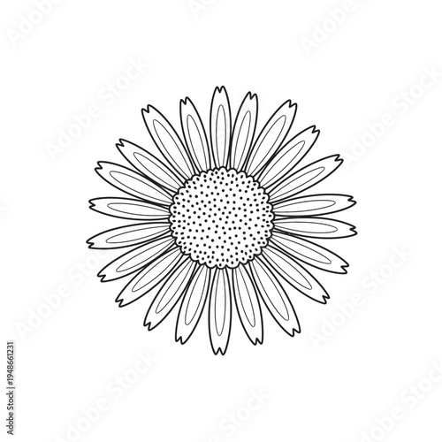 Detailed Outline Drawing of a Single Daisy Flower.