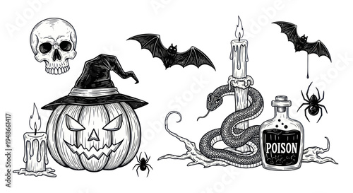 Halloween Drawing: Pumpkin Jack-o'-lantern, Skull, Bats, Snake, Poison Bottle, Spiders, Candles