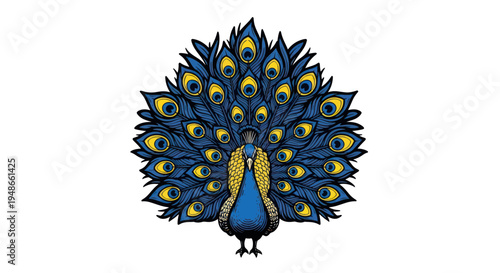 Peacock Displaying Colorful Feathers