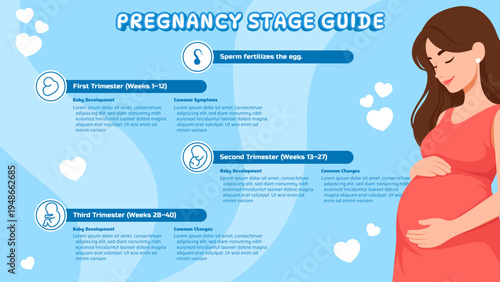 A detailed infographic illustrating the journey of pregnancy, outlining the three distinct trimesters and the significant developmental stages expectant mothers experience from conception to birth