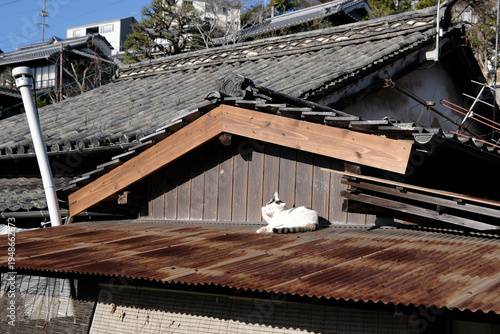 【広島】尾道の風景