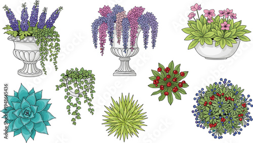 Collection of decorative garden plants and flowers in pots and hanging arrangements colorful succulents berry branches botanical vector illustration set isolated on white background