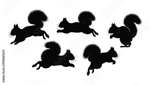 Detailed analysis of squirrel silhouettes in various motion postures