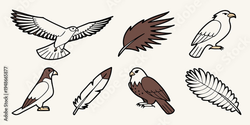 a collection of seven different bird of prey illustrations Vector