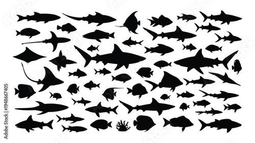 A comprehensive collection of diverse marine life silhouettes featuring various species of fish, sharks, rays, and other ocean creatures