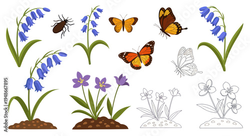 Spring Butterflies and Flowers Illustration Collection with Insects and Sketches