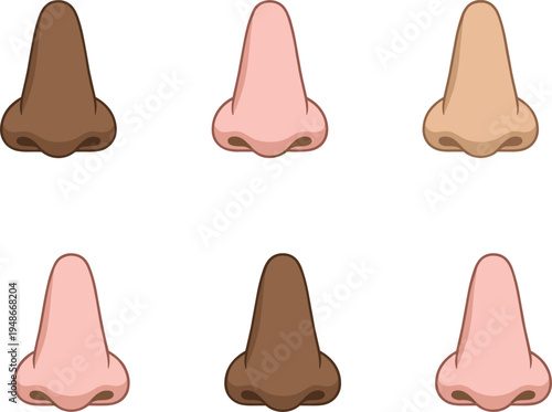 Human nose shapes set, diverse nose anatomy collection with different skin tones, facial body part illustration for medical and cosmetic concept vector
