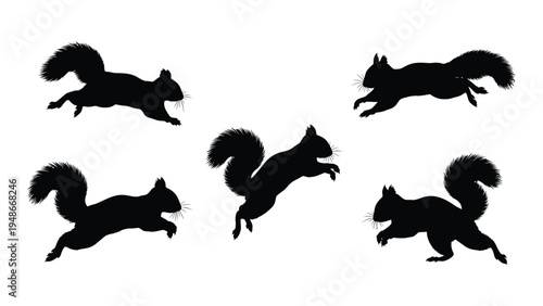 Detailed analysis of squirrel silhouette images in various motion postures