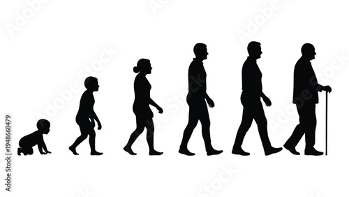The evolution of human life cycle: a silhouette representation of growth and aging from infancy to elderly with walking aid