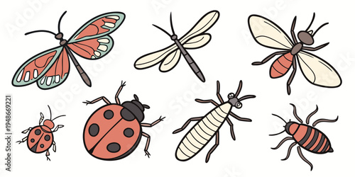 a group of insects including ladybugs and flies Vector
