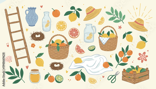 Summer harvest collection with citrus fruits and garden tools