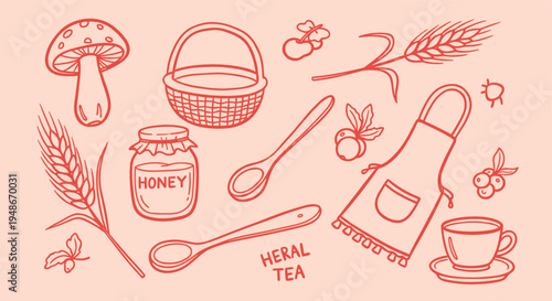 Hand drawn doodle set of organic farm products and herbal tea elements
