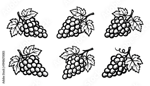 Set of six hand-drawn bunches of grapes with leaves, depicted in a charming sketch art style.