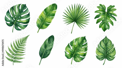 Vibrant Watercolor Tropical Leaves Set Featuring Monstera Deliciosa, Palm Fronds, Banana Leaves, and Ferns Isolated on White Background for Botanical Art Decor.