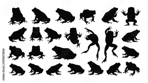 Collection of various frog and toad silhouettes in different postures and positions
