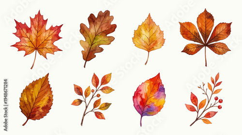 Beautiful Watercolor Autumn Leaves Collection Featuring Maple Oak Birch and Chestnut Foliage in Vibrant Orange Red and Gold Tones Isolated on White Background.
