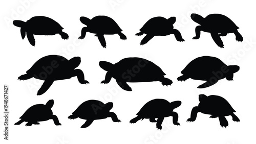 Collection of diverse turtle silhouettes in various poses and sizes