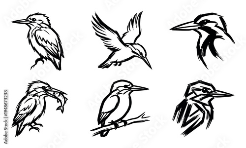 Collection of stylized black and white kingfisher bird illustrations in various dynamic poses, showcasing their distinctive features and hunting behavior.