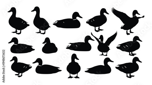 Collection of various duck silhouettes in different poses and orientations