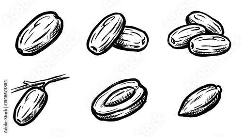Hand-drawn sketch illustrations depict various forms of dates or plums, showcasing whole fruits and halves with pits in a rustic, artistic style.