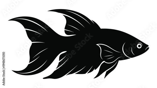 A detailed analysis of a black and white image of a majestic beta fish swimming in an endless ocean of pure white space