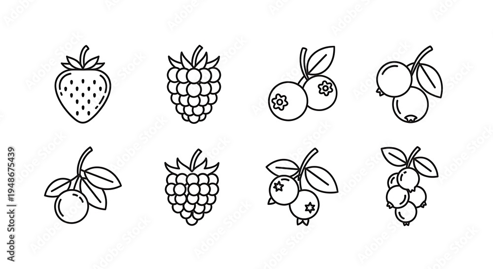 Fototapeta premium Fresh Fruit Line Drawings Collection.