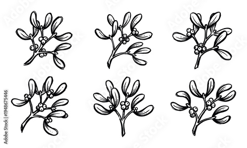 Hand-drawn sketch of multiple mistletoe branches with berries, symbolizing holiday traditions and festive cheer.