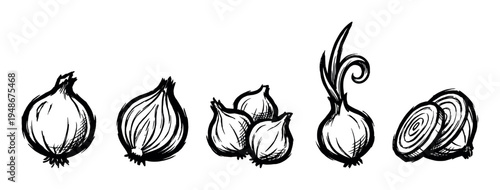 Hand-drawn sketch illustration of various fresh onions, including whole bulbs, sprouting onions, and sliced rings, depicting culinary ingredients.