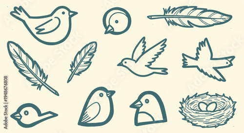 Hand drawn bird and feather doodle set