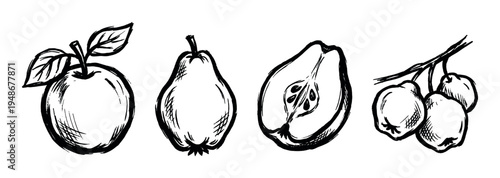 Collection of hand-drawn apples and pears, featuring whole fruits, a sliced pear, and a cluster of fruits in a rustic sketch style.