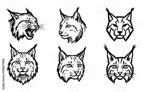Collection of stylized lynx heads in various artistic interpretations, including aggressive, geometric, and realistic styles.