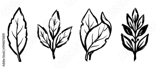 Hand-drawn black and white illustrations depict a collection of various botanical leaves and natural foliage elements.