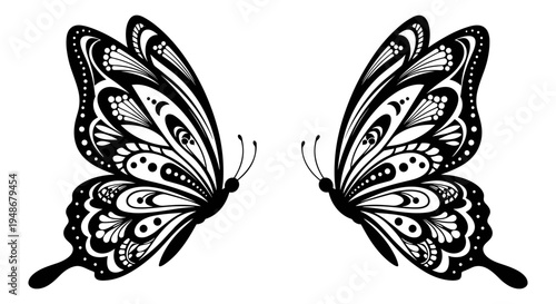 Set of 2 black butterfly illustrations vector