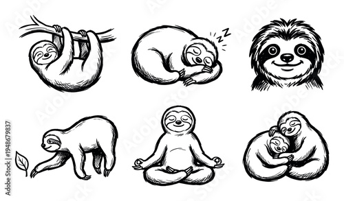 Collection of hand-drawn black and white sloth illustrations depicting various poses and activities in their natural habitat.
