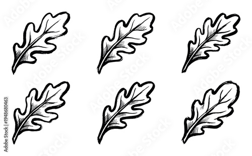 Six identical hand-drawn brushstroke illustrations of a single stylized leaf, showcasing organic natural shapes and textures.