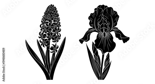 Set of 2 floral icons vector, black flowers