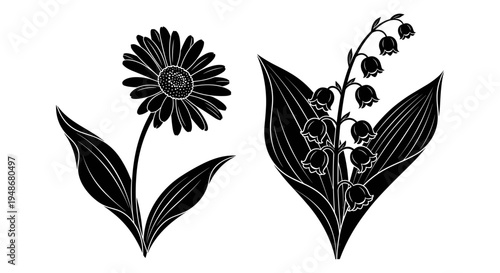 Set of 2 black floral icons vector