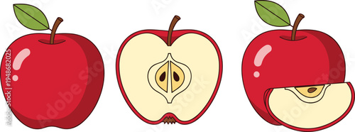 Red apple fruit collection with whole apple, half cut cross section and slice, fresh organic food illustration isolated on white vector set