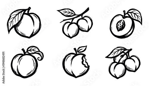 Set of hand-drawn fruit illustrations depicting peaches and plums in various forms, including whole, sliced, and bitten.