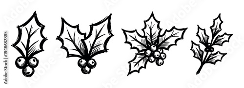 Hand-drawn black and white illustrations of festive holly leaves with berries, perfect for holiday season designs and decorations.