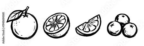 Hand-drawn brush stroke illustrations depict a whole orange with a leaf, a half-cut orange, a single slice, and a small pile of citrus fruits.