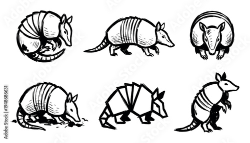 Collection of hand-drawn armadillo illustrations showcases the distinctive armored animal in different poses and artistic interpretations.