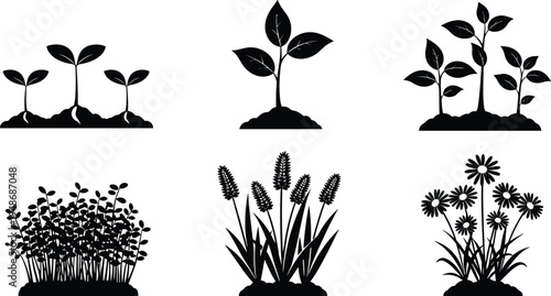 Silhouette illustration of plant growth stages from seedlings to mature flowering plants, representing botanical artwork, gardening design, nature education, and agricultural development